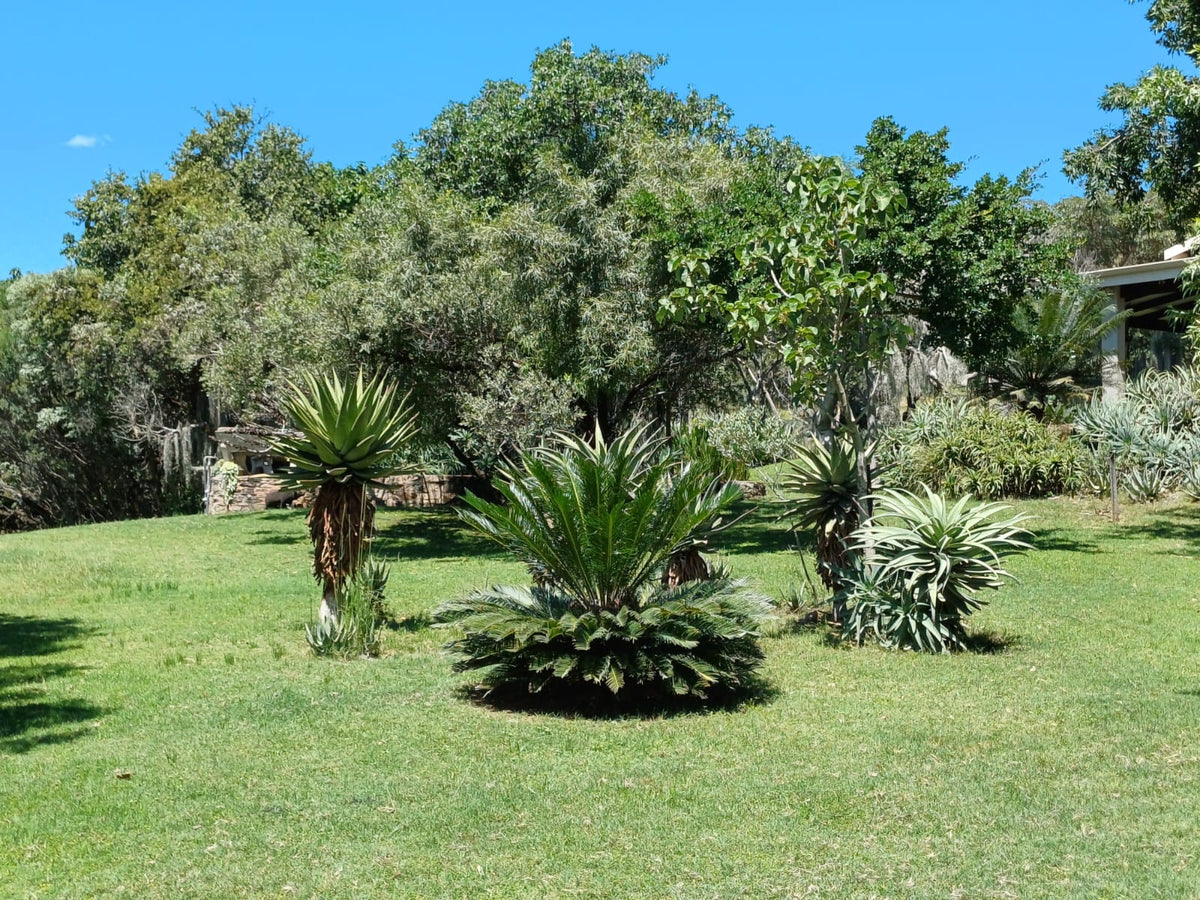 Property 415801 - Image 8