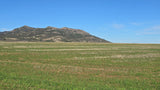 Property 417822 - Image 13
