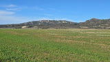 Property 417822 - Image 14