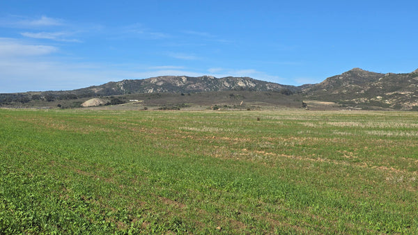 Property 417822 - Image 14