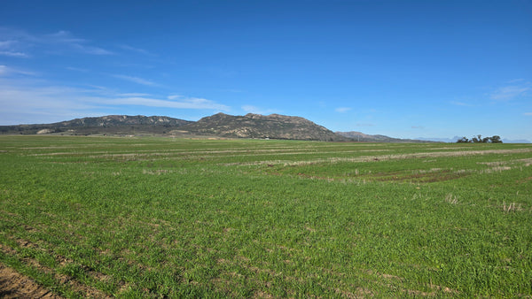 Property 417822 - Image 5