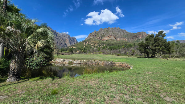 Property 430735 - Image 1