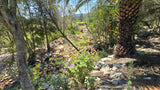 Property 430735 - Image 10