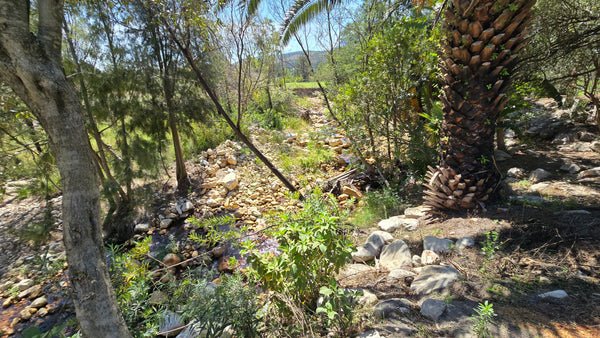 Property 430735 - Image 10