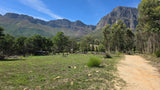 Property 430735 - Image 11