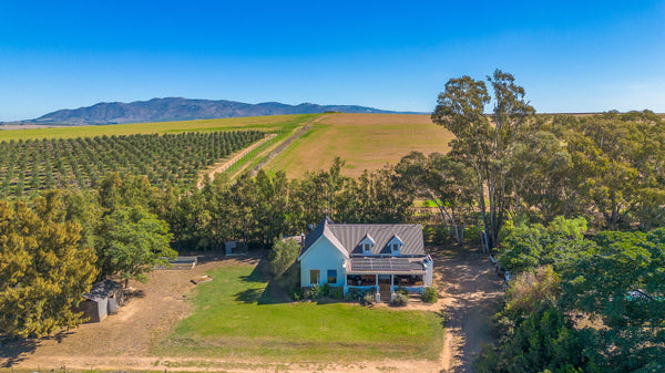 Property 464757 - Image 20