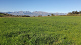 Property 47120 - Image 11