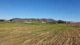 Property 47120 - Image 12