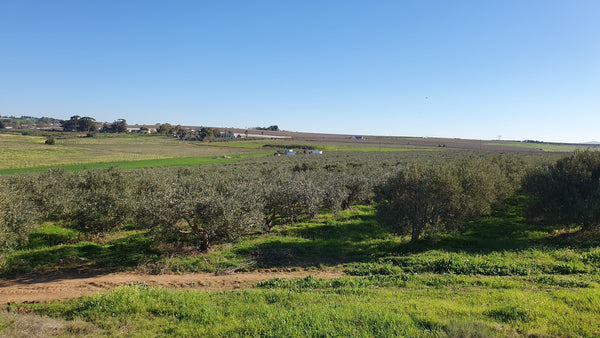 Property 47120 - Image 14
