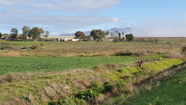 Property 47120 - Image 6