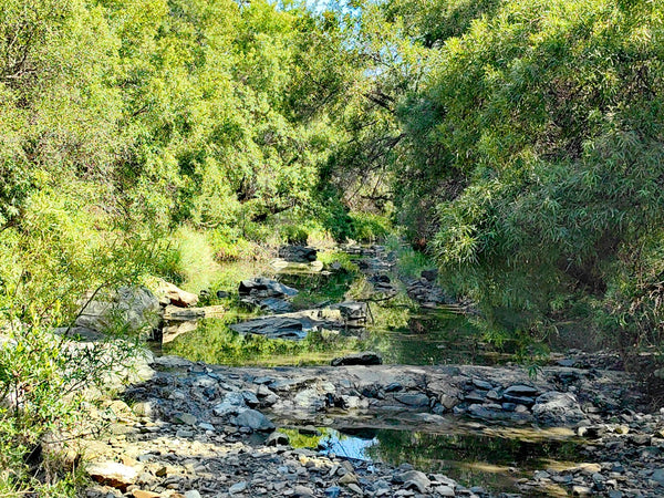 Property 472352 - Image 11