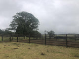 Property 479312 - Image 1