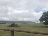 Property 479312 - Image 10