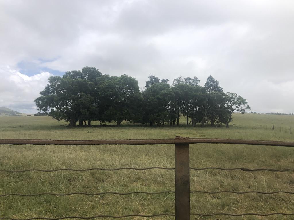 Property 479312 - Image 11
