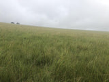 Property 479312 - Image 12