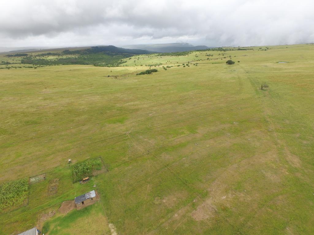 Property 479312 - Image 14