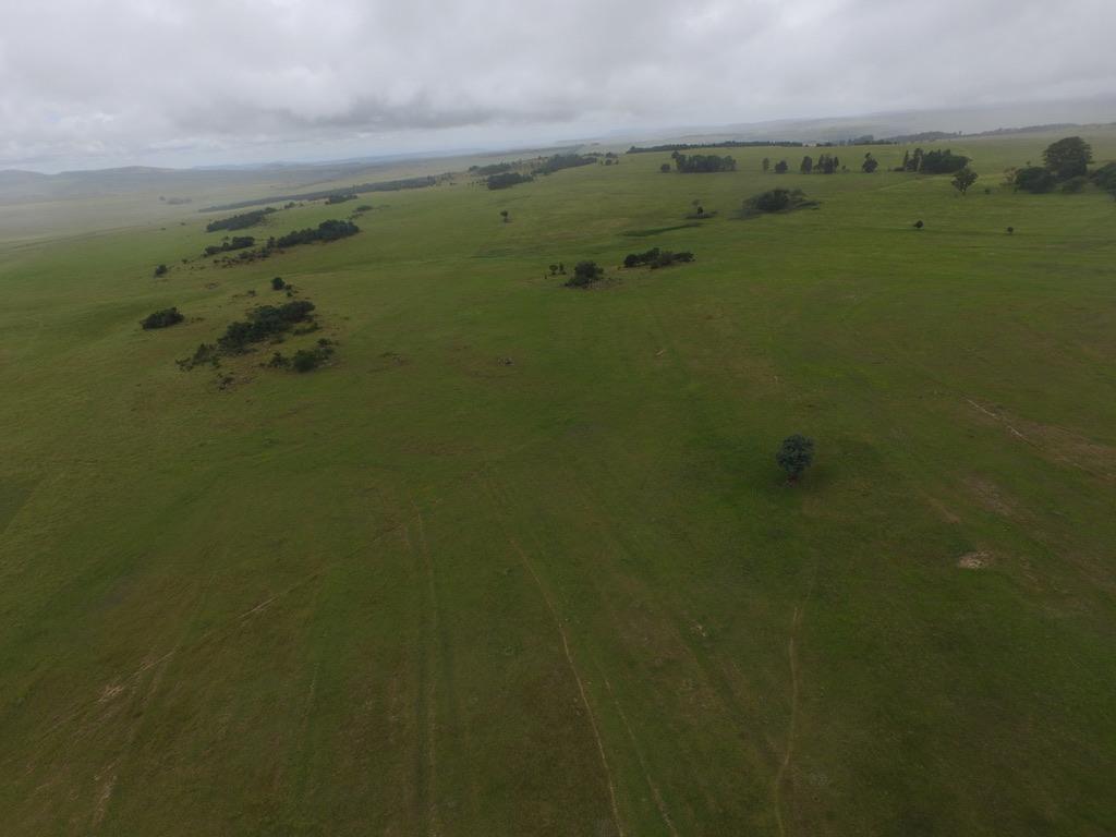 Property 479312 - Image 15