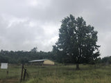 Property 479312 - Image 18