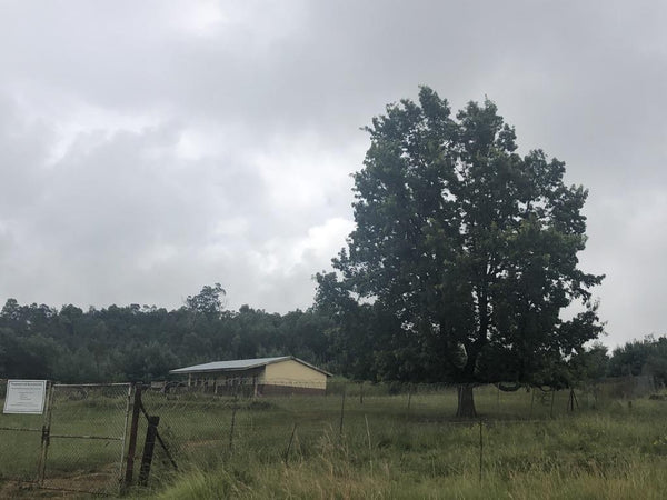 Property 479312 - Image 18