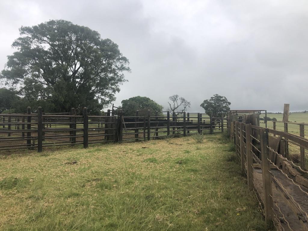 Property 479312 - Image 6