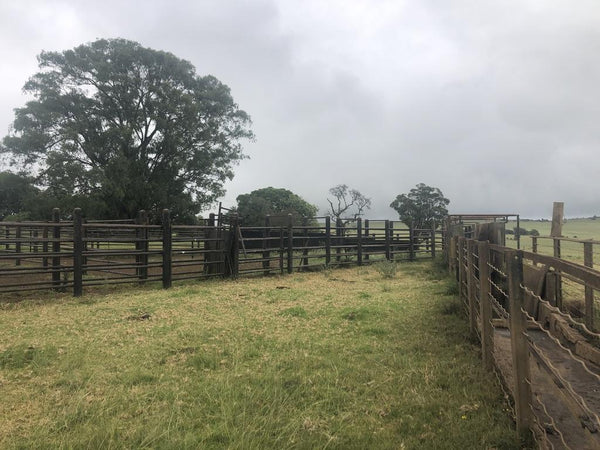 Property 479312 - Image 6