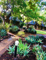 Property 48799 - Image 25