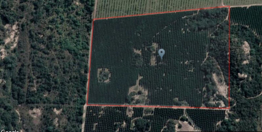 Property 48865 - Image 1