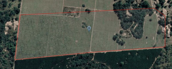 Property 48865 - Image 2