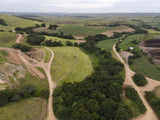 Property 495732 - Image 11