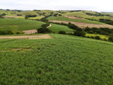 Property 508580 - Image 6