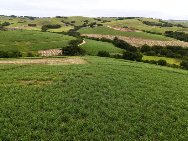 Property 508580 - Image 6
