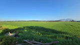 Property 552095 - Image 14