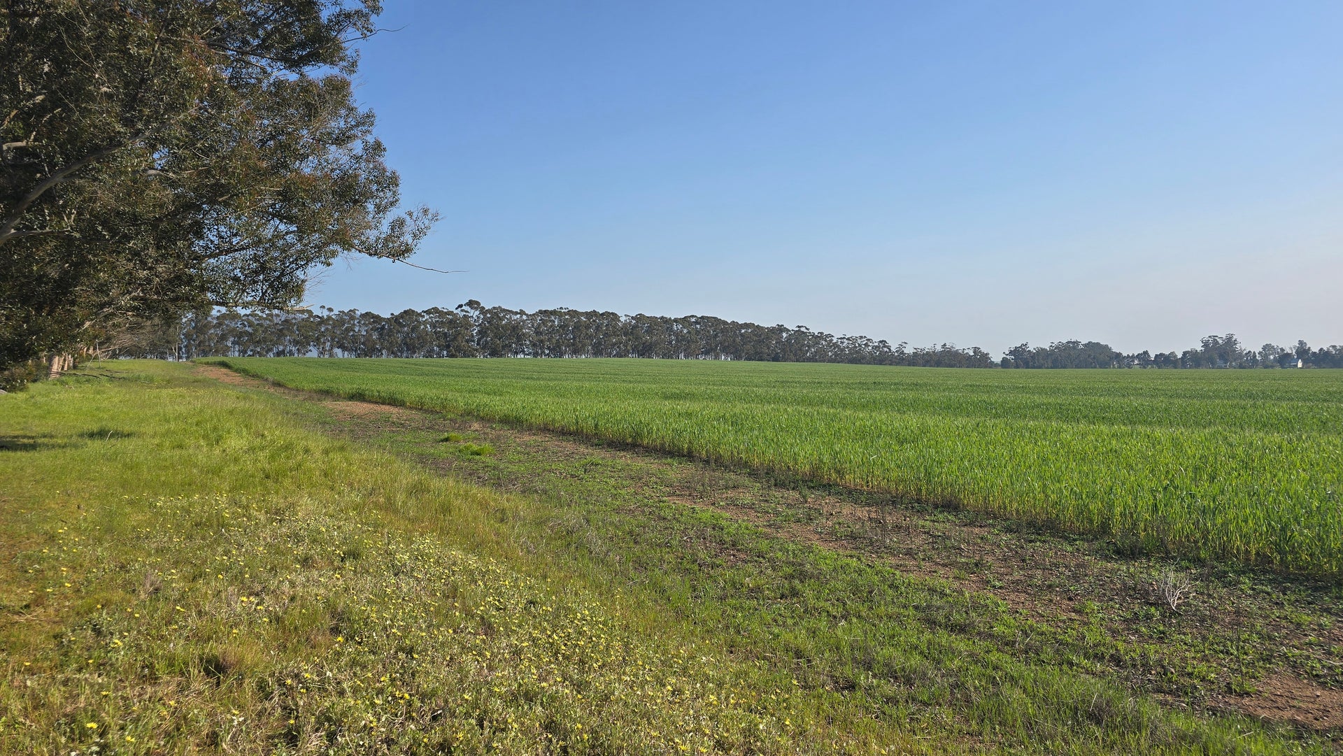 Property 552095 - Image 5