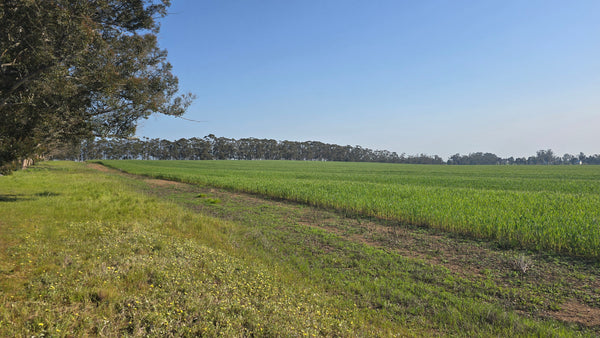 Property 552095 - Image 5