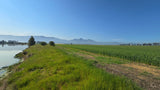 Property 552095 - Image 7