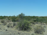 Property 585354 - Image 7