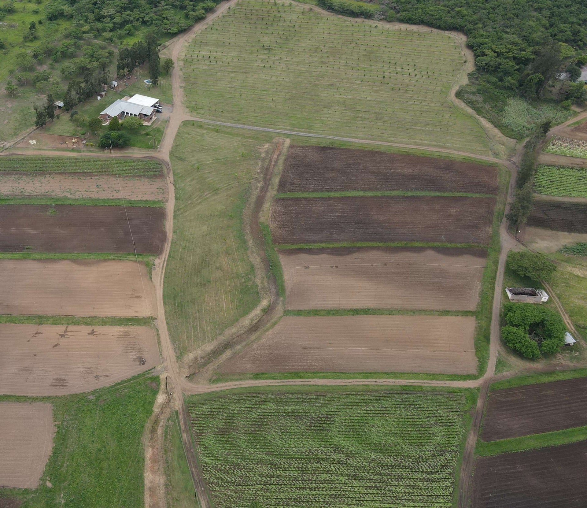 Property 593977 - Image 11