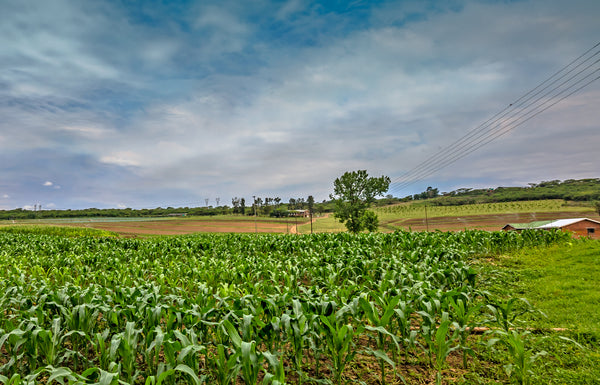 Property 593977 - Image 19