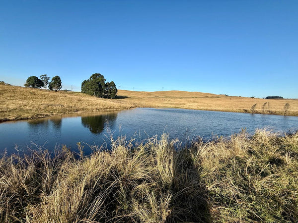 Property 602095 - Image 40