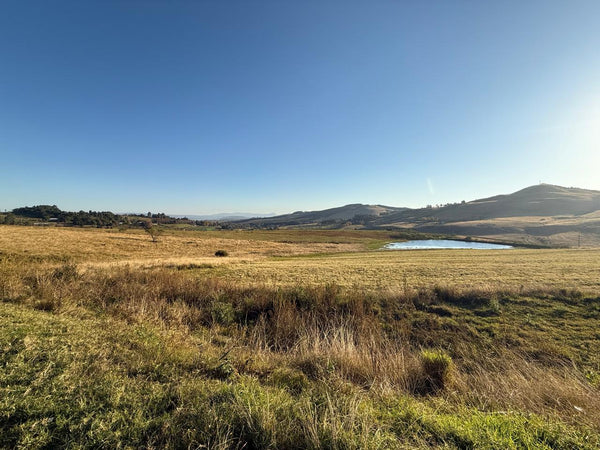 Property 602095 - Image 42