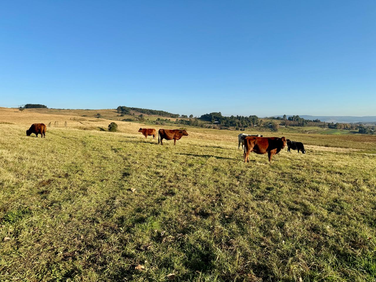 Property 602095 - Image 43