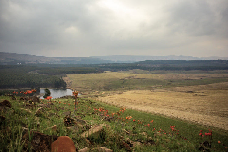 Property 635197 - Image 1