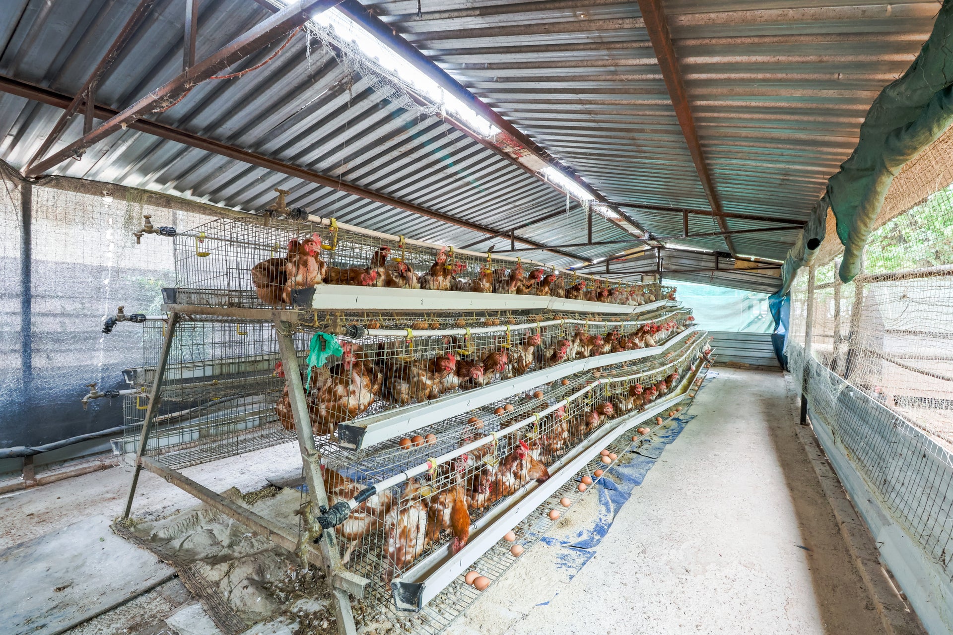 Property 640644 - Image 24