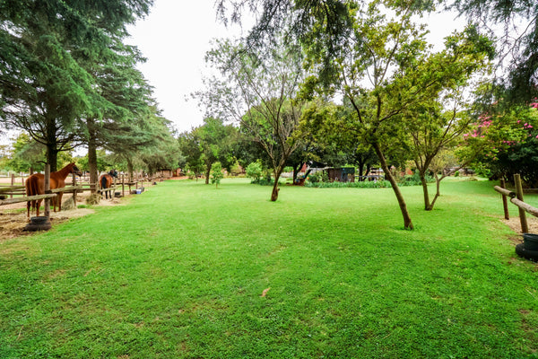 Property 640644 - Image 32