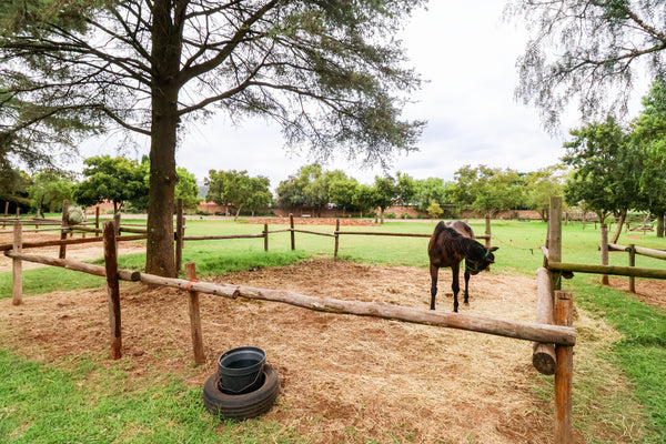 Property 640644 - Image 66