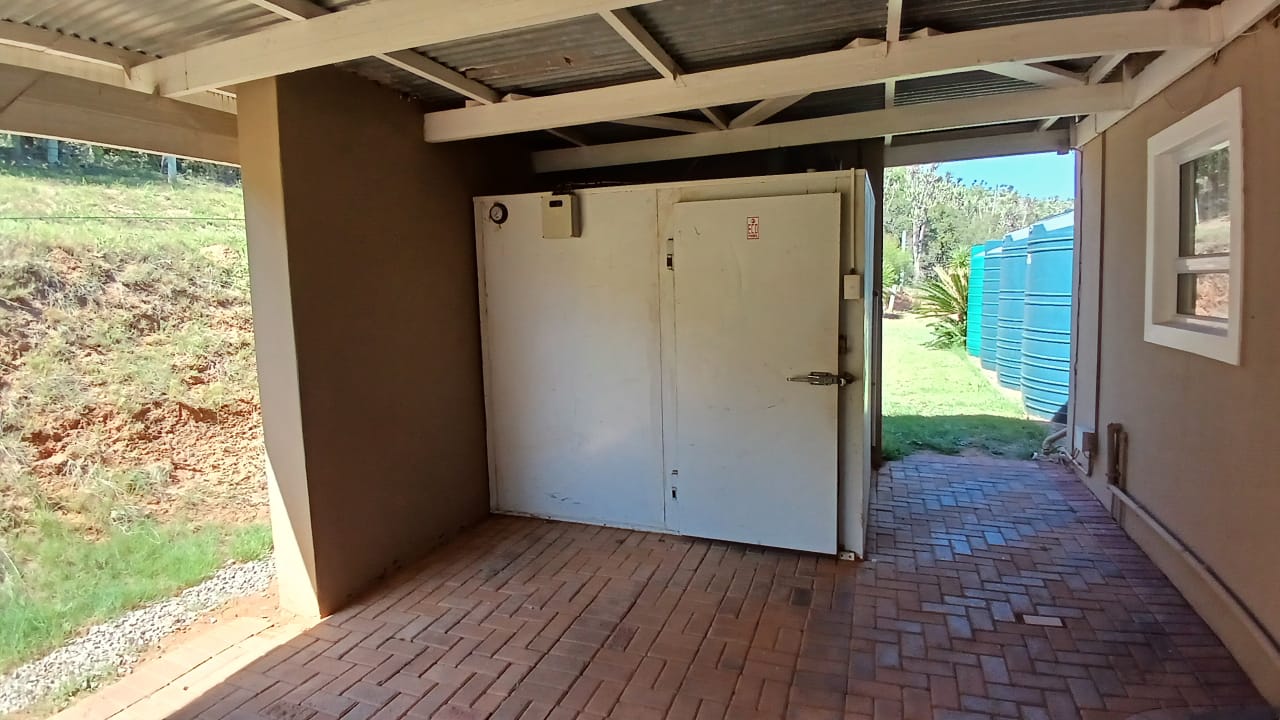 Property 650926 - Image 17