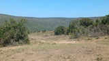 Property 650926 - Image 41