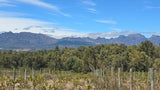 Property 659920 - Image 10