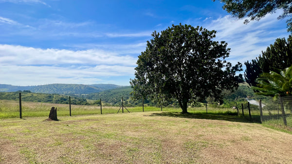 Property 666565 - Image 18