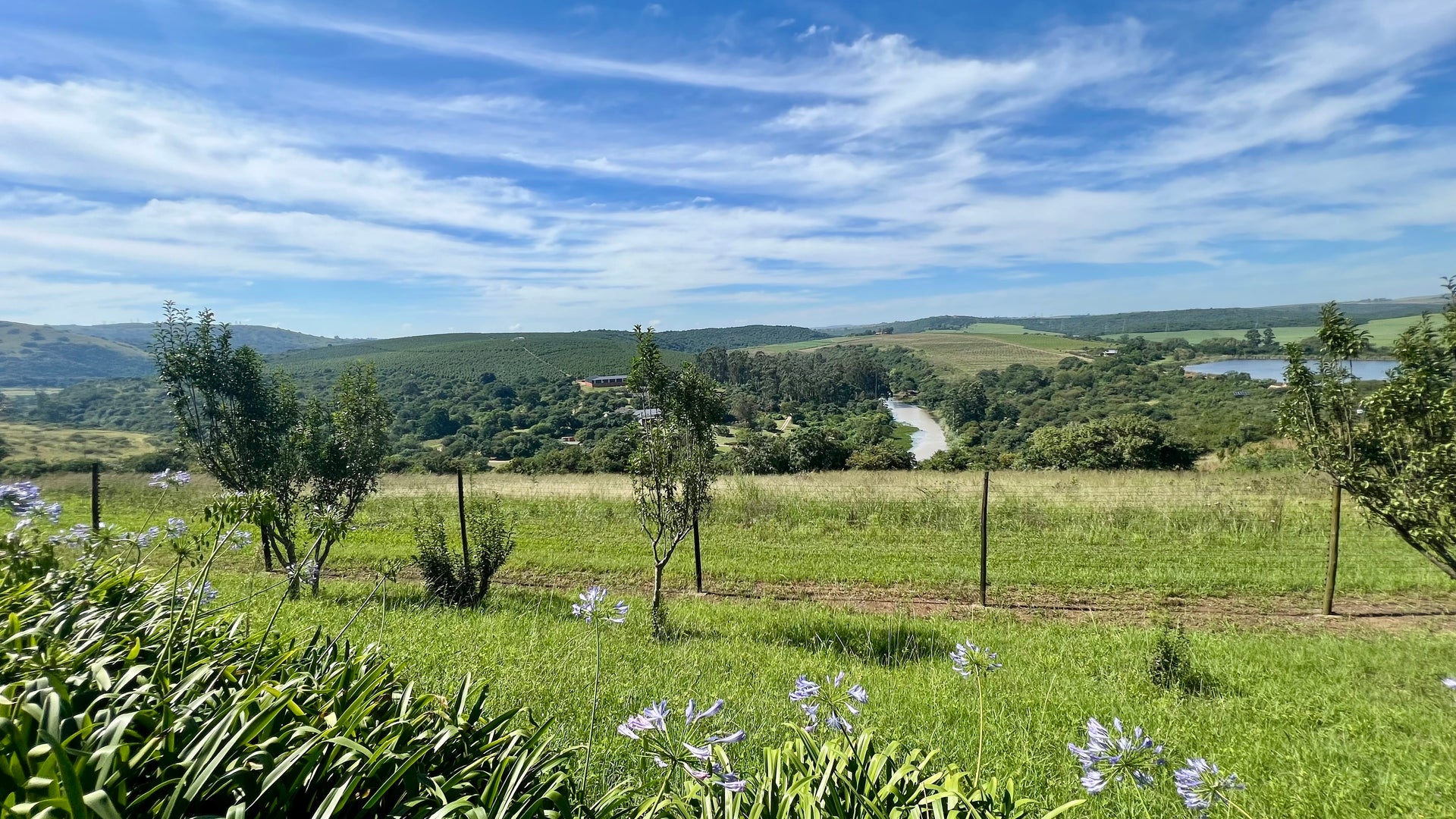 Property 666565 - Image 19